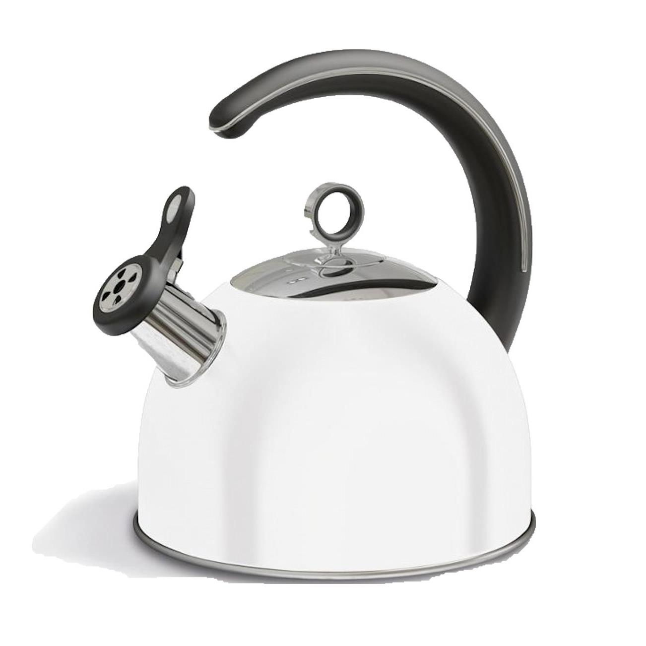 Morphy richards accents sales whistling kettle